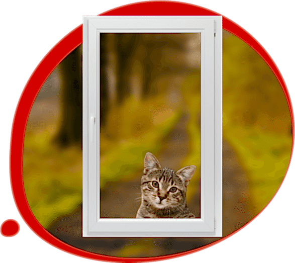 Softens the Air, Eliminates Risks