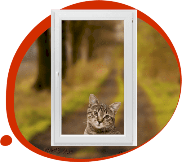 Havayı Yumuşatır, Riskleri Ortadan Kaldırır