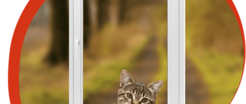 Havayı Yumuşatır, Riskleri Ortadan Kaldırır